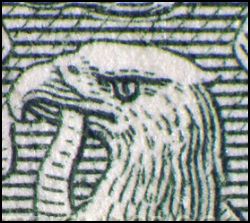 head eagle