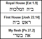 house flesh 913