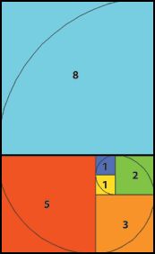 fibonacci spiral