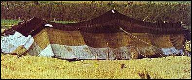 goat hairs tent