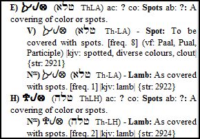 tal lamb