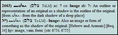 tselem
