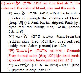 adam red