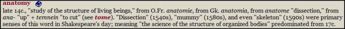 anatomy