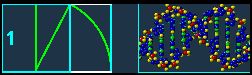 dna fibo