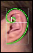 fibonacci ear