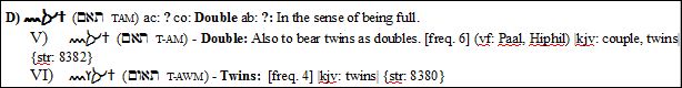 taam twins