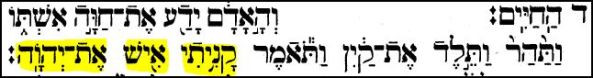 genesis 4.1