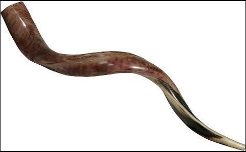 Shofar 2