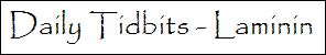 daily tidbits laminin