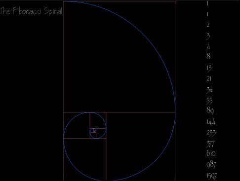 fibonacci spiral 2