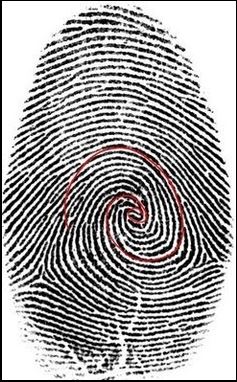 fiboonacci fingerprint