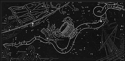 hydra