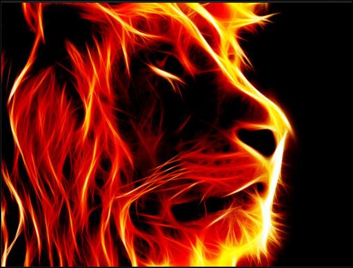 lion flame 3