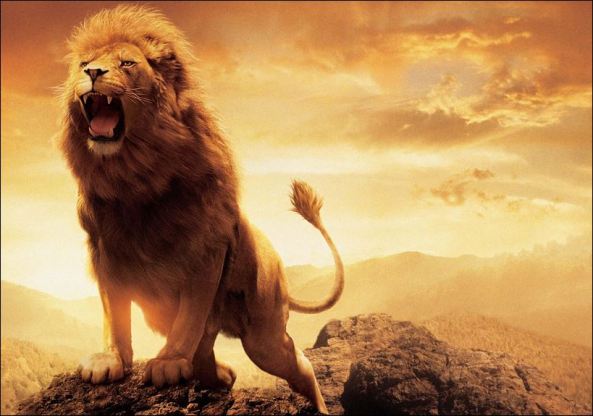 lion roar 2