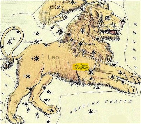 regulus