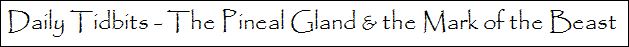 daily tidbits pineal gland and the mark of the beast