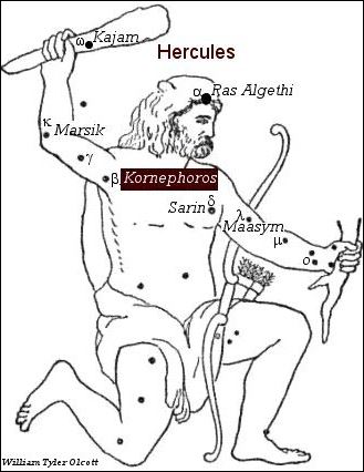 hercules kornephorus