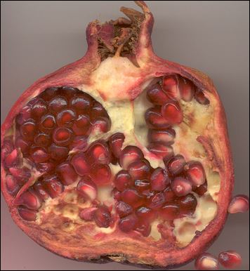 pomegranate heart
